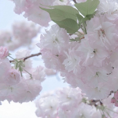 Furry数位绘画技巧兽圈社群